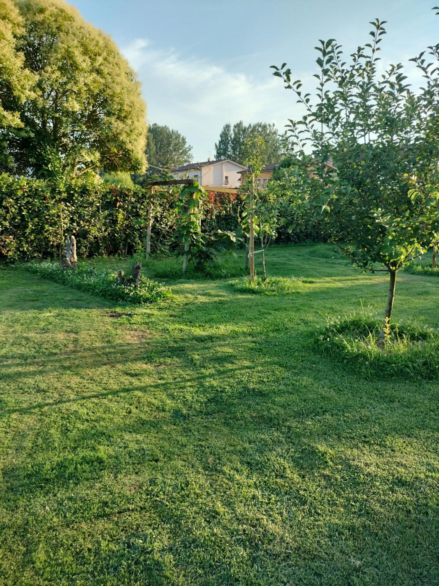 B&B La Rosa Nel Verde Lucca Exterior photo